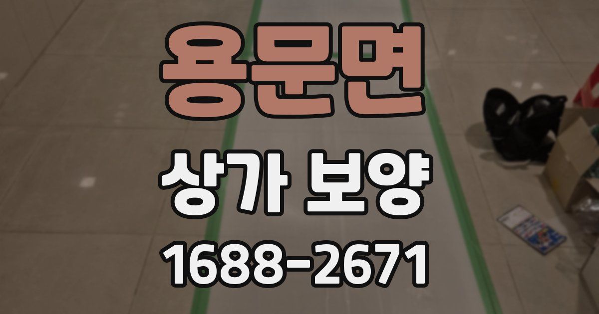 용문면 상가 보양