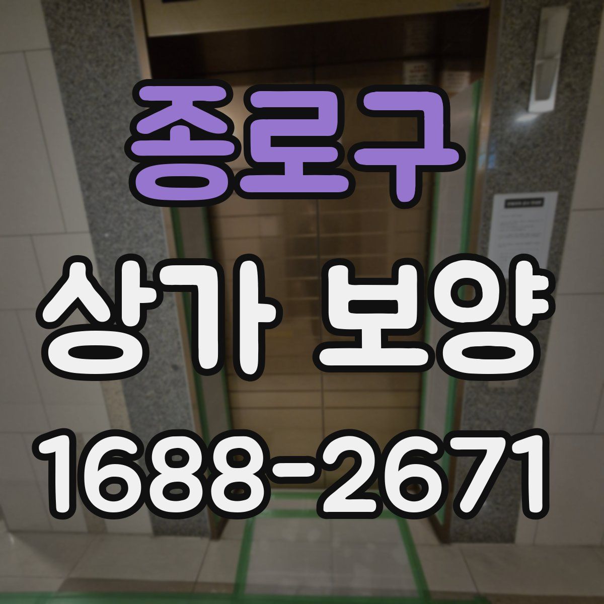 종로구 상가 보양