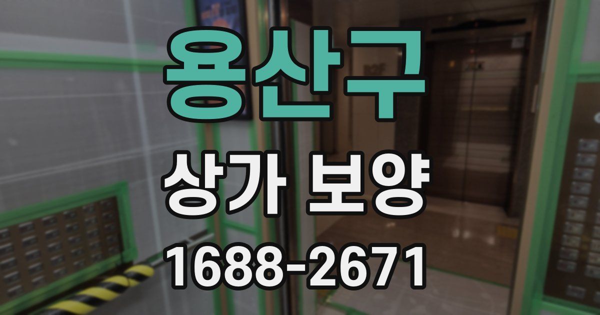 용산구 상가 보양