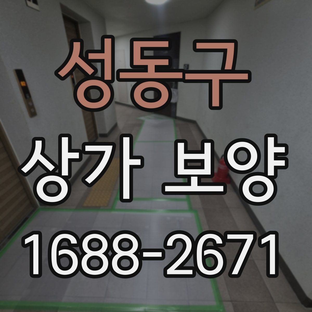 성동구 상가 보양 비용과 품질의 균형 맞추기