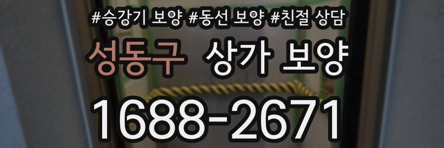 성동구 상가 보양
