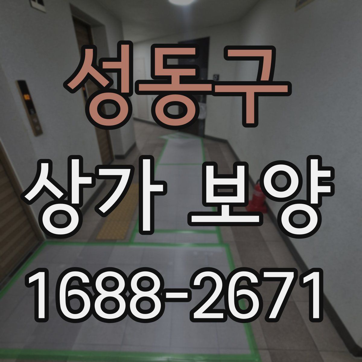 성동구 상가 보양