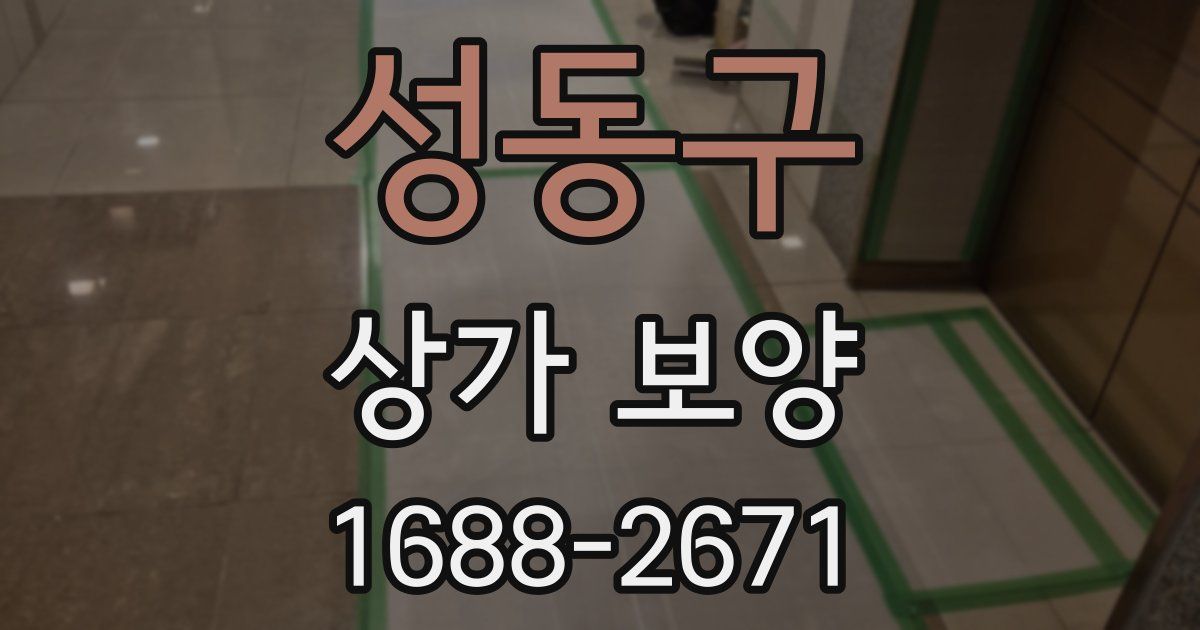 성동구 상가 보양