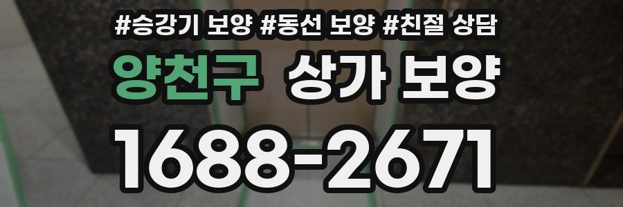 양천구 상가 보양