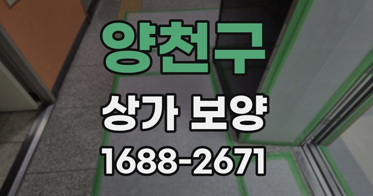 양천구 상가 보양
