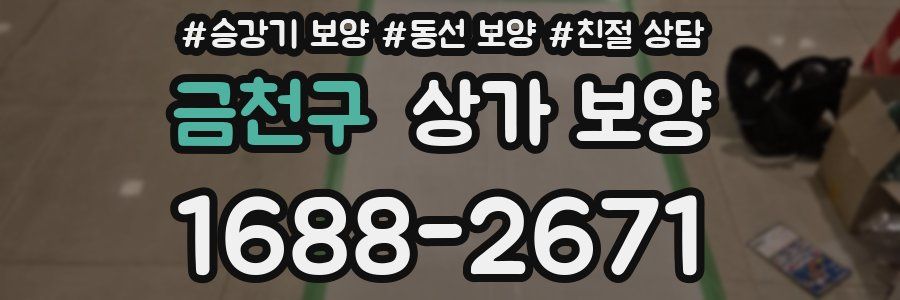 금천구 상가 보양