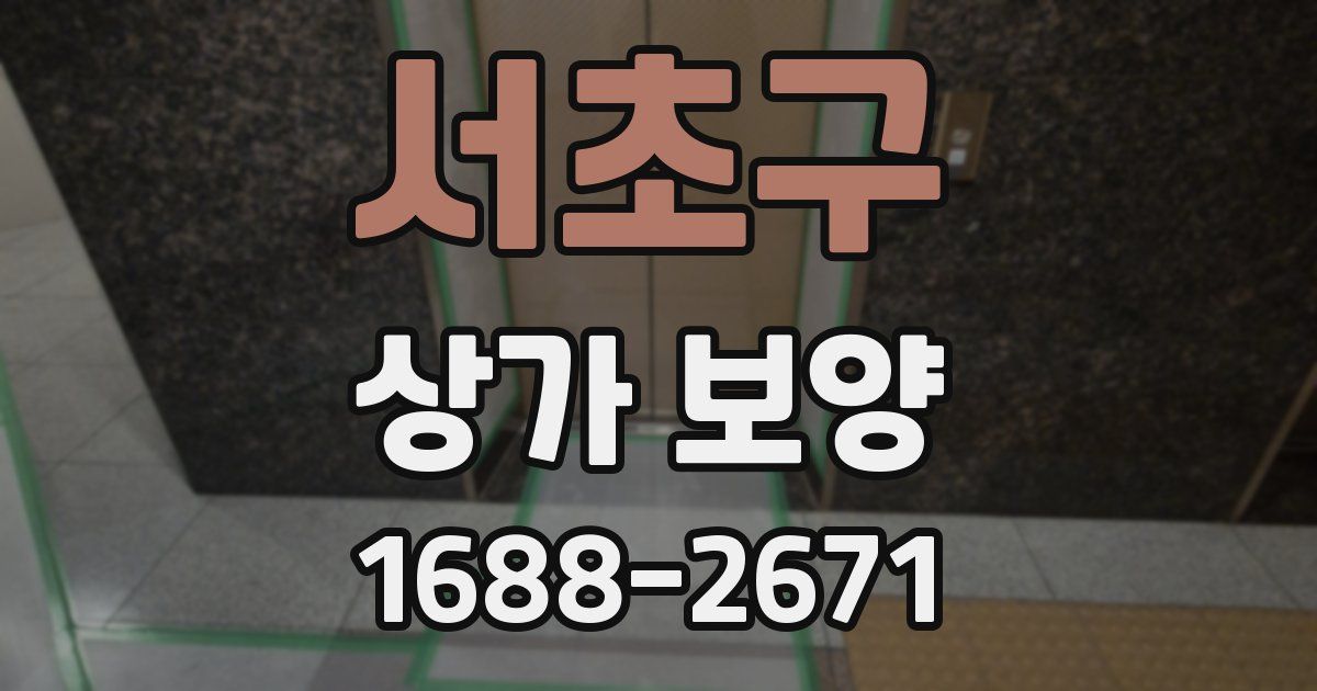서초구 상가 보양