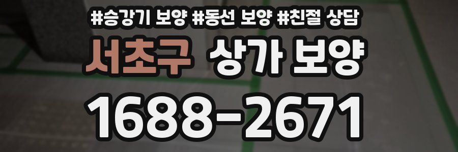 서초구 상가 보양