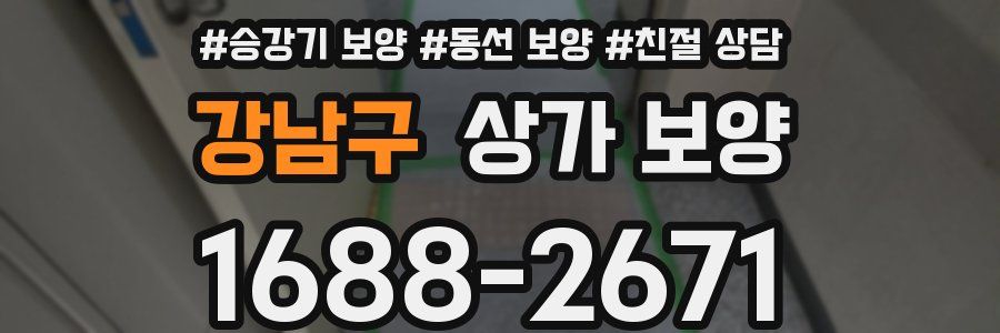 강남구 상가 보양