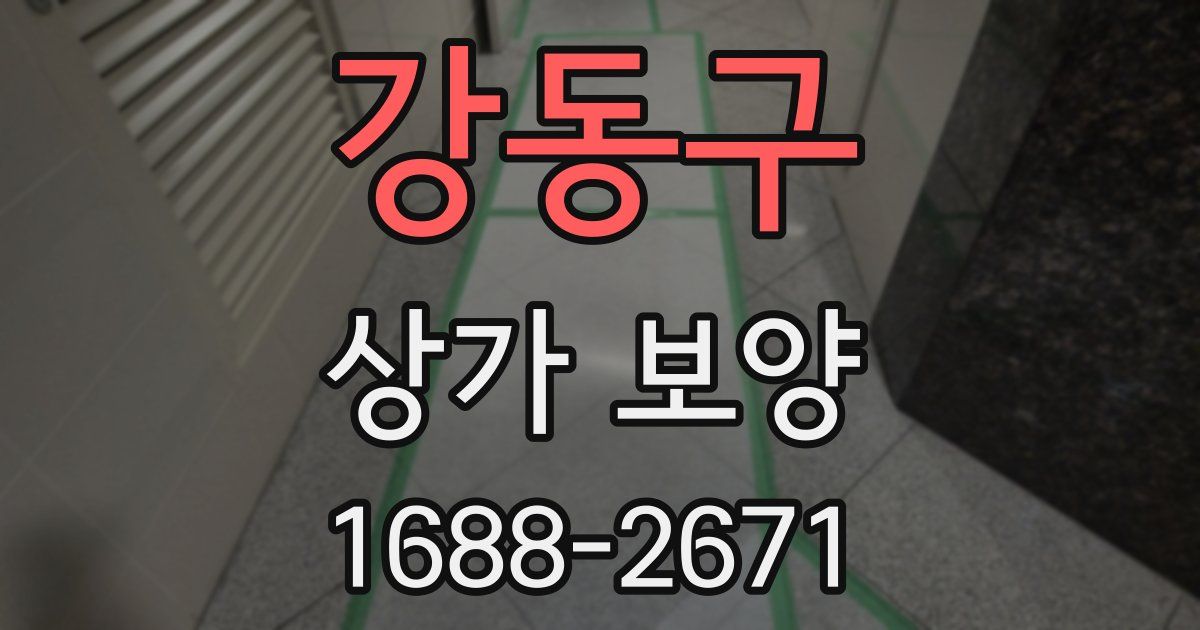 강동구 상가 보양