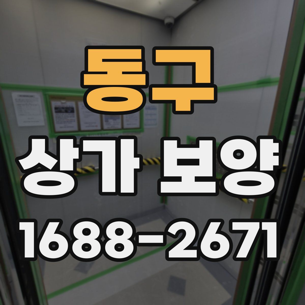 동구 상가 보양