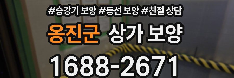 옹진군 상가 보양