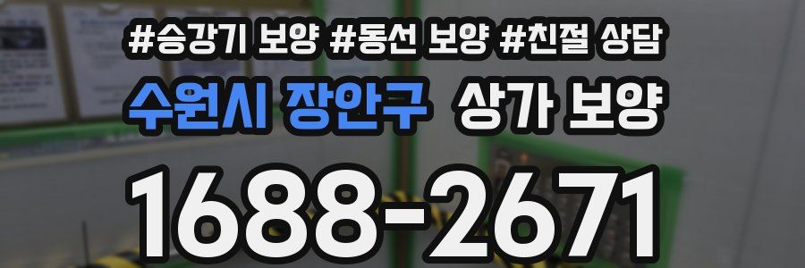 수원시 장안구 상가 보양