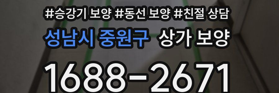 성남시 중원구 상가 보양