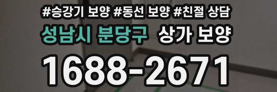 성남시 분당구 상가 보양