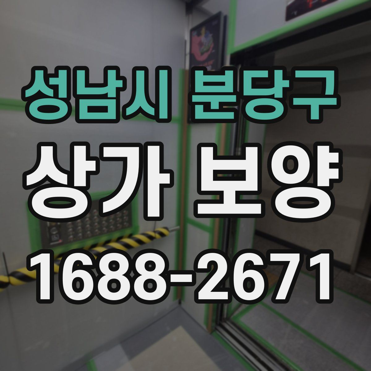 성남시 분당구 상가 보양