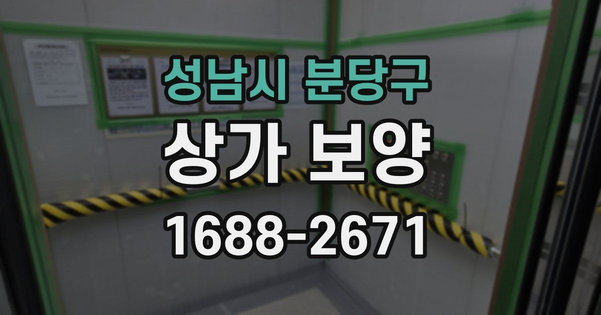 성남시 분당구 상가 보양