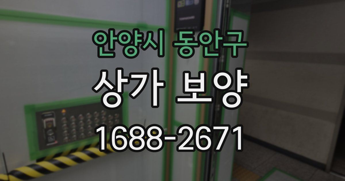 안양시 동안구 상가 보양