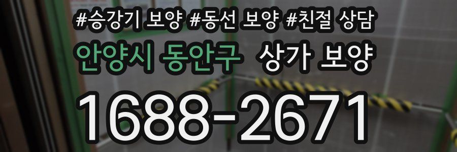 안양시 동안구 상가 보양