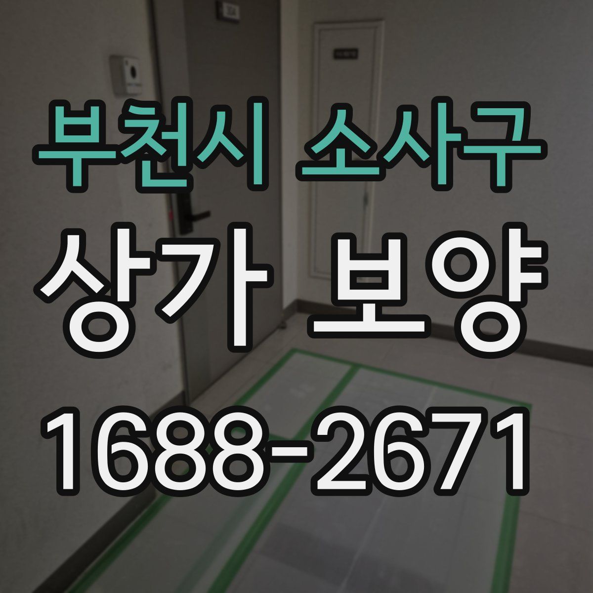 부천시 소사구 상가 보양