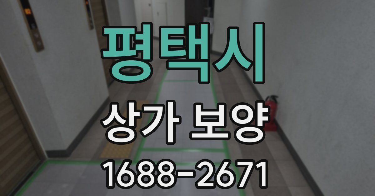평택시 상가 보양