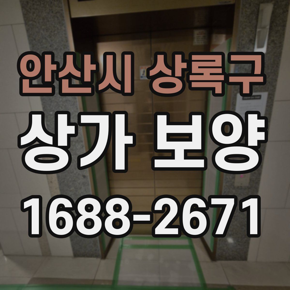 안산시 상록구 상가 보양