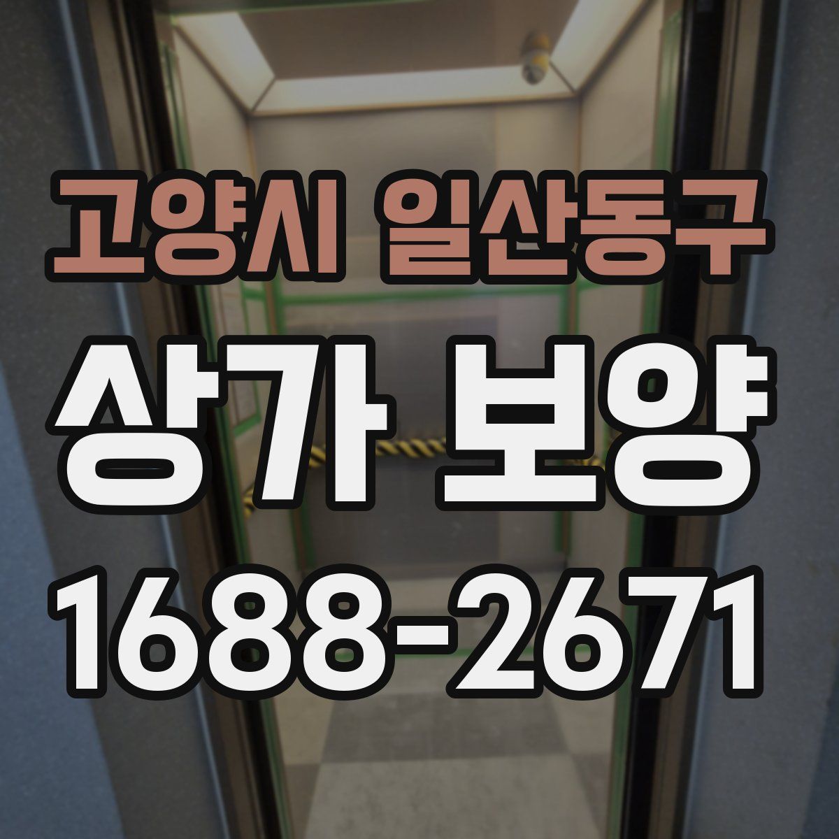 고양시 일산동구 상가 보양