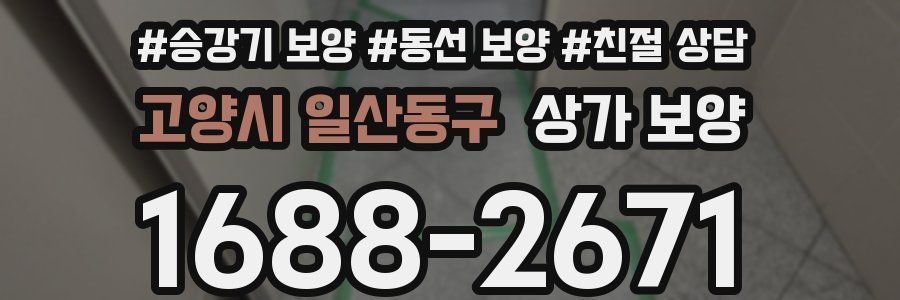 고양시 일산동구 상가 보양