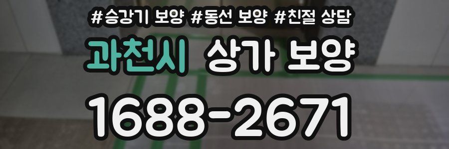 과천시 상가 보양