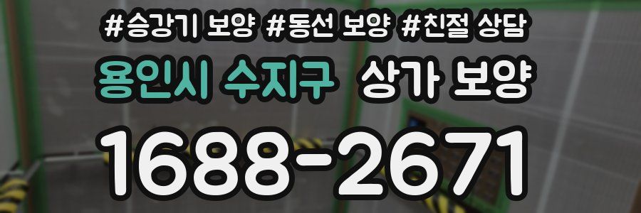 용인시 수지구 상가 보양