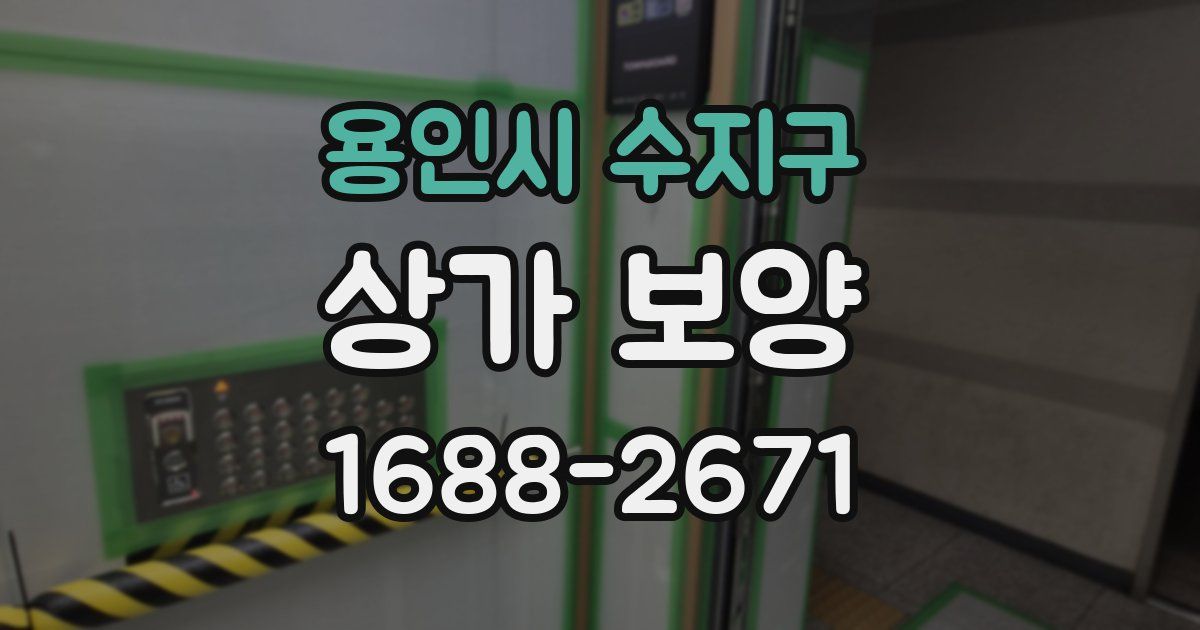 용인시 수지구 상가 보양
