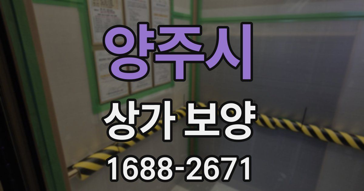 양주시 상가 보양