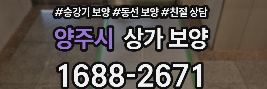 양주시 상가 보양