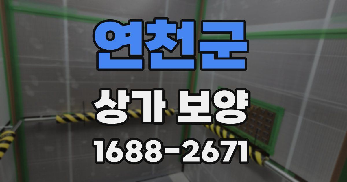 연천군 상가 보양