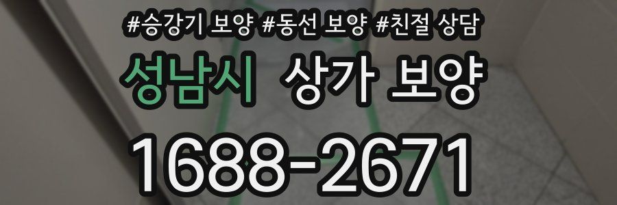 성남시 상가 보양