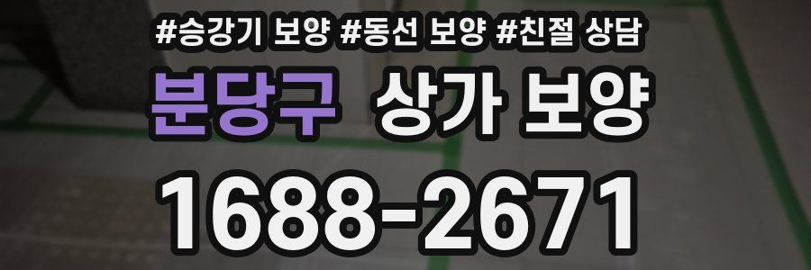 분당구 상가 보양