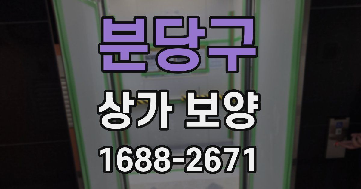 분당구 상가 보양