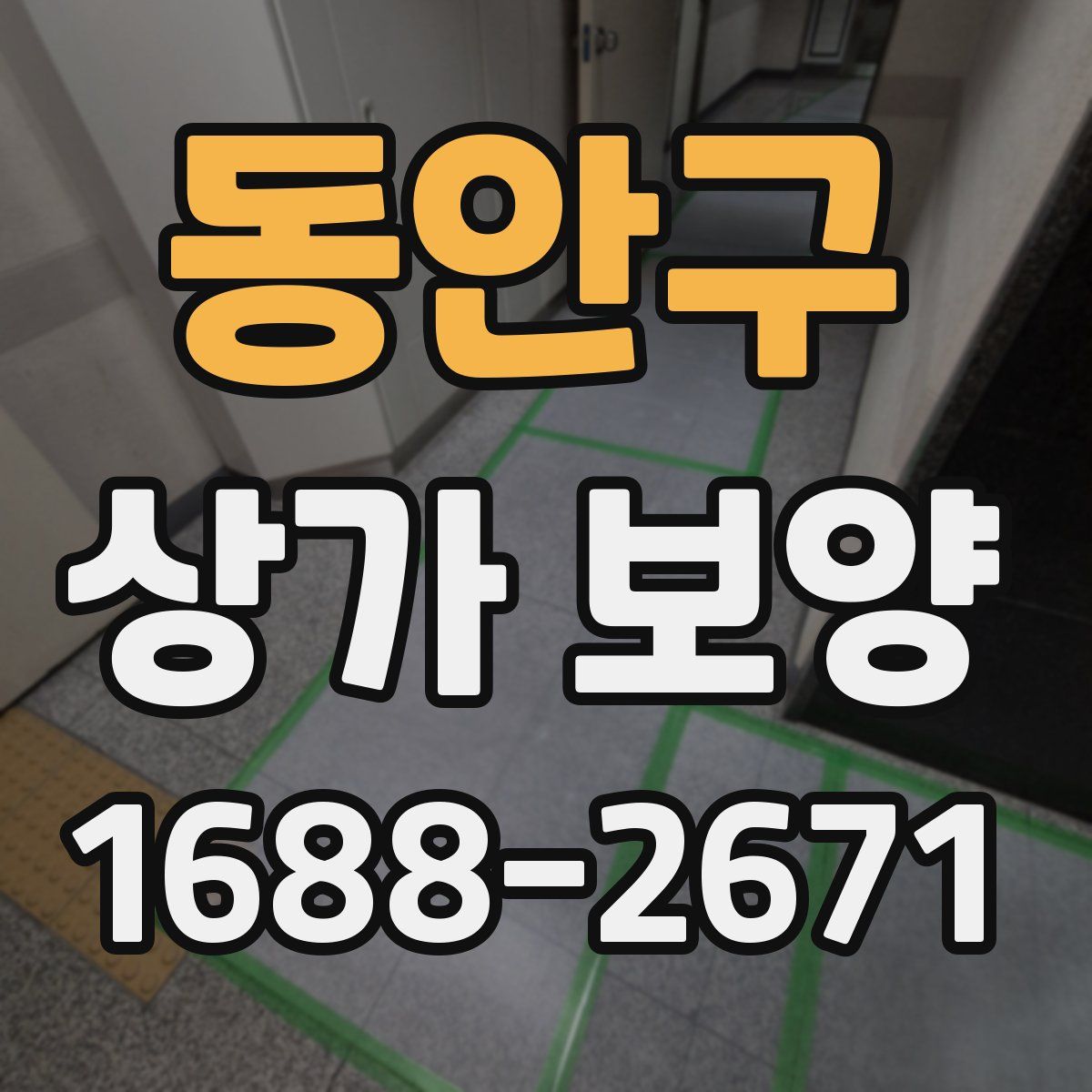동안구 상가 보양