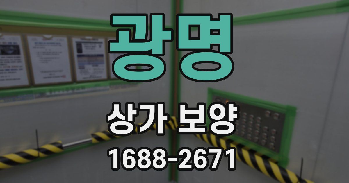 광명 상가 보양