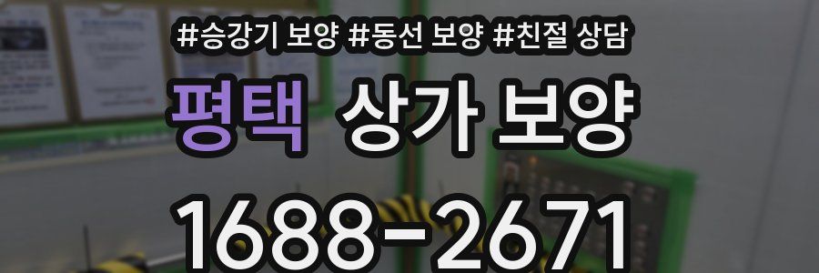 평택 상가 보양