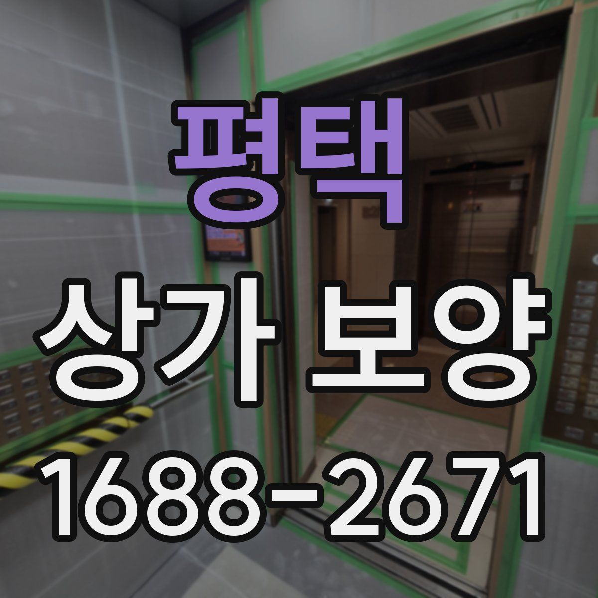 평택 상가 보양