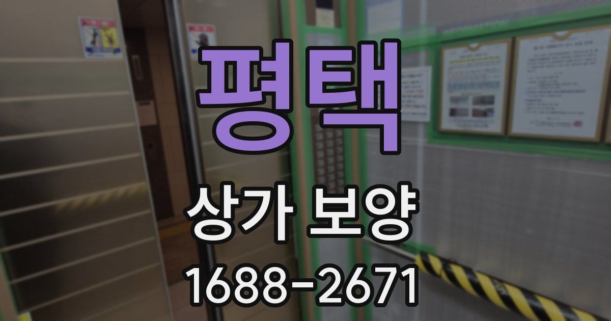 평택 상가 보양
