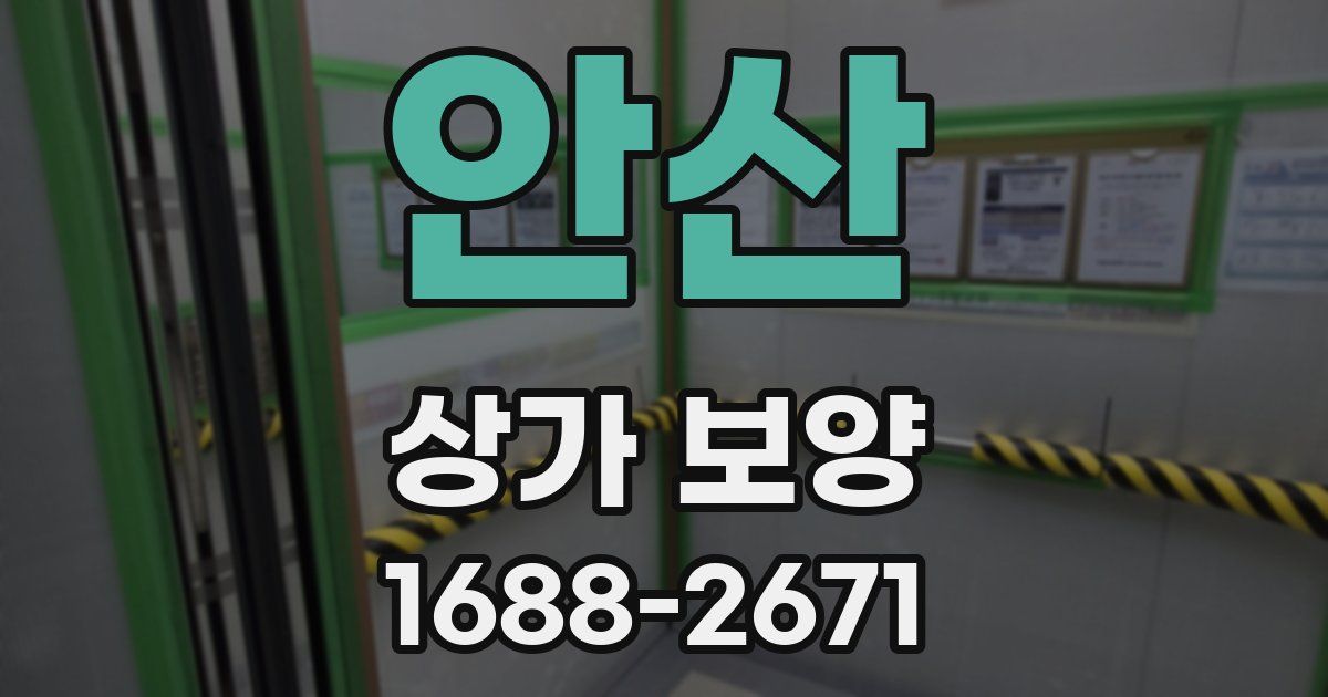 안산 상가 보양