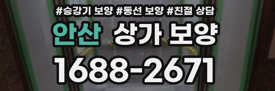안산 상가 보양