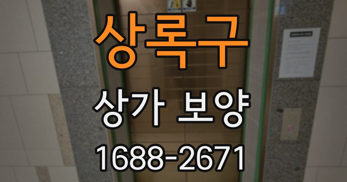 상록구 상가 보양