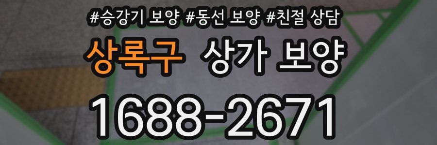 상록구 상가 보양