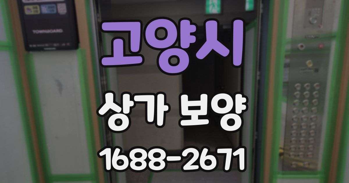 고양시 상가 보양