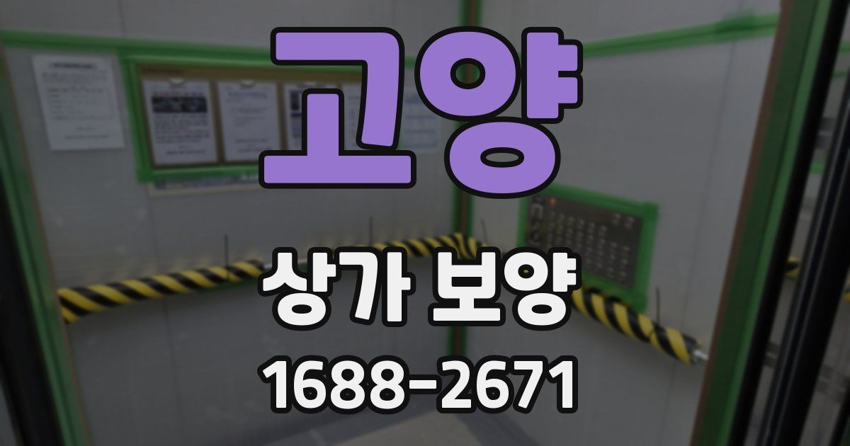 고양 상가 보양