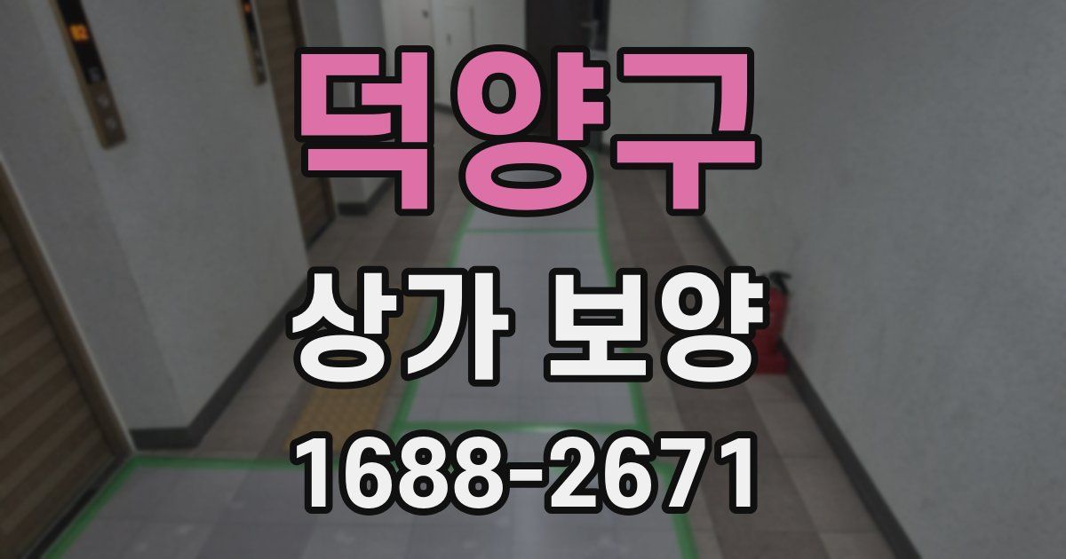 덕양구 상가 보양