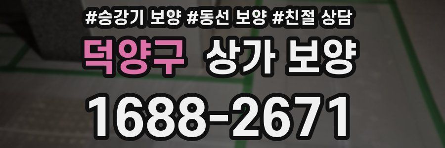 덕양구 상가 보양